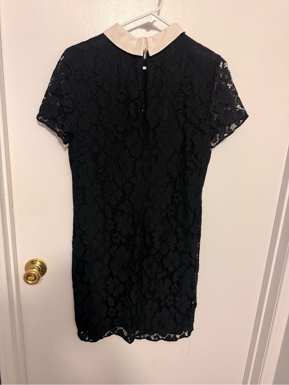 CeCe Black Lace Mini Dress with Cream Collar
